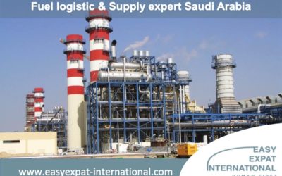 Fuel Logistic and Supply Expert for a mission in Saudi Arabia.