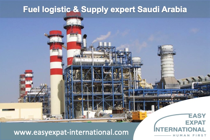 Fuel Logistic and Supply Expert for a mission in Saudi Arabia.