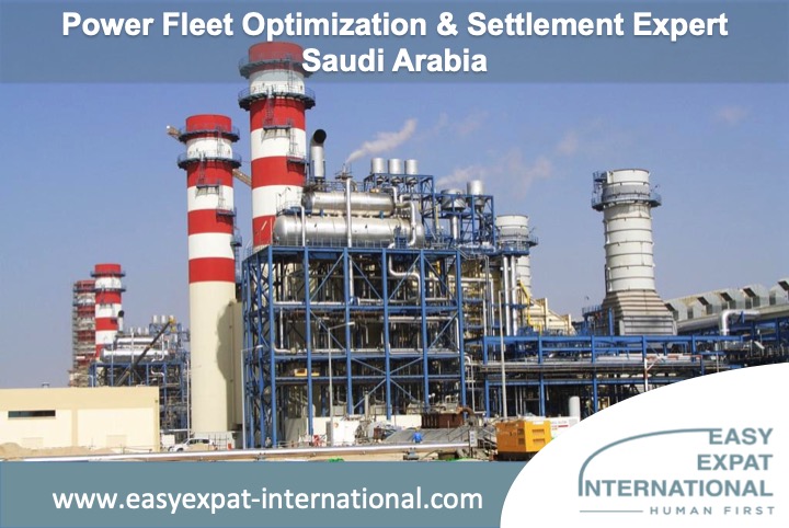 Power Fleet Optimization & Settlement Expert for a mission in Saudi Arabia